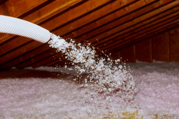 Best Specialty Insulation in Patrick Af, FL