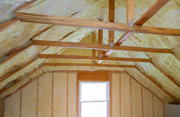 Best Insulation Installation Services in Patrick Af, FL